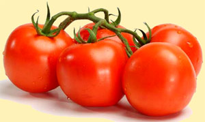 tomates_grappe