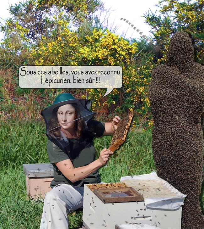 mona-apicultrice