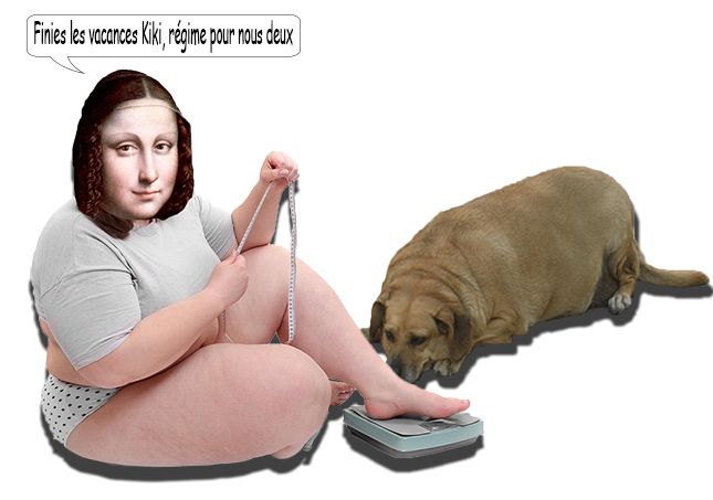 mona-obese-chien